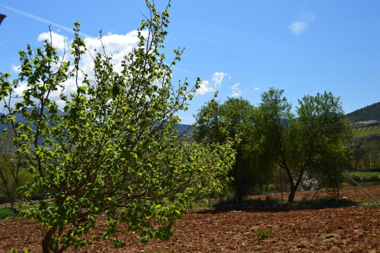 Cortijo Petra Bed & Breakfast Villanueva del Rosario Ngoại thất bức ảnh