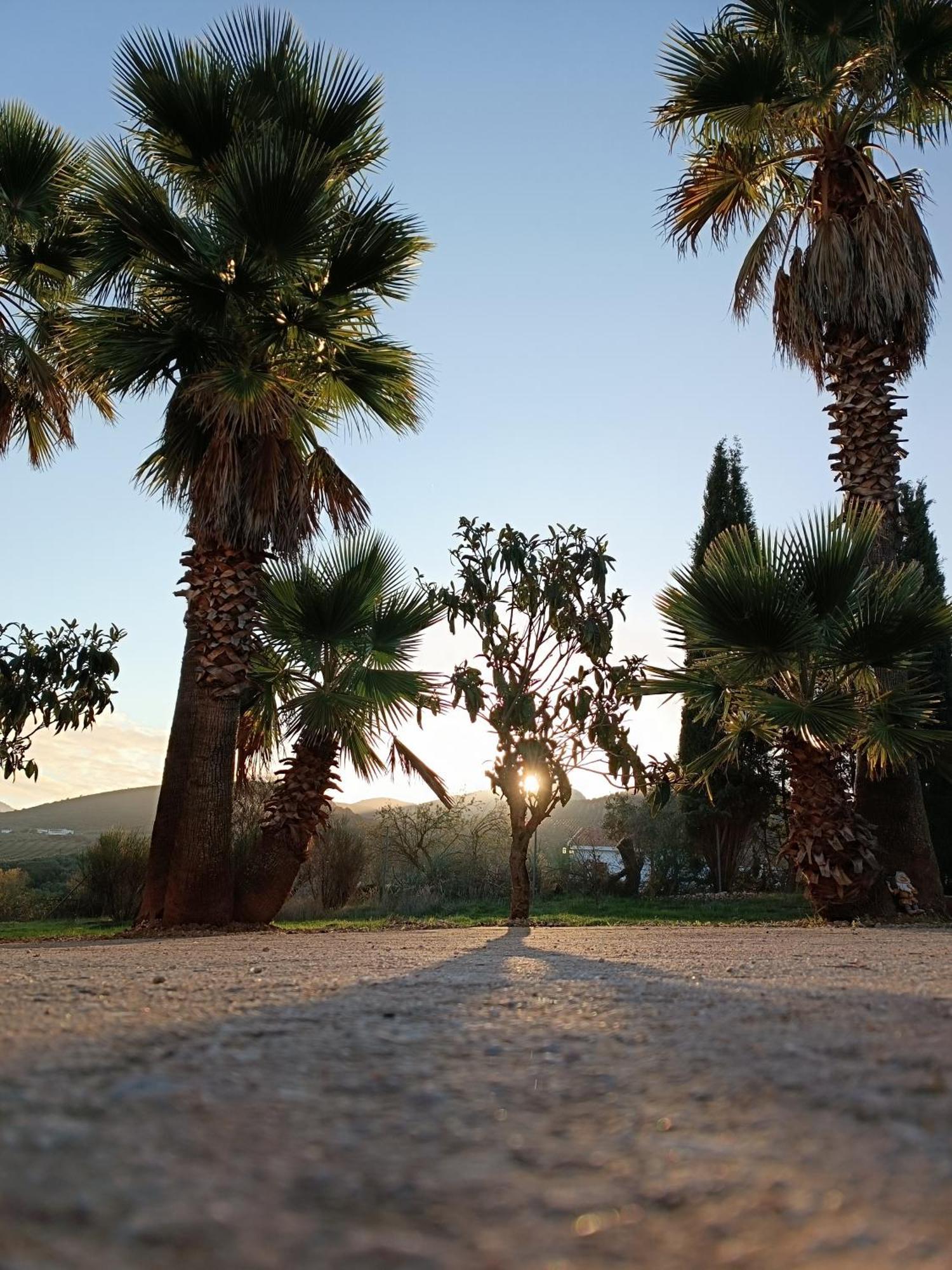 Cortijo Petra Bed & Breakfast Villanueva del Rosario Ngoại thất bức ảnh