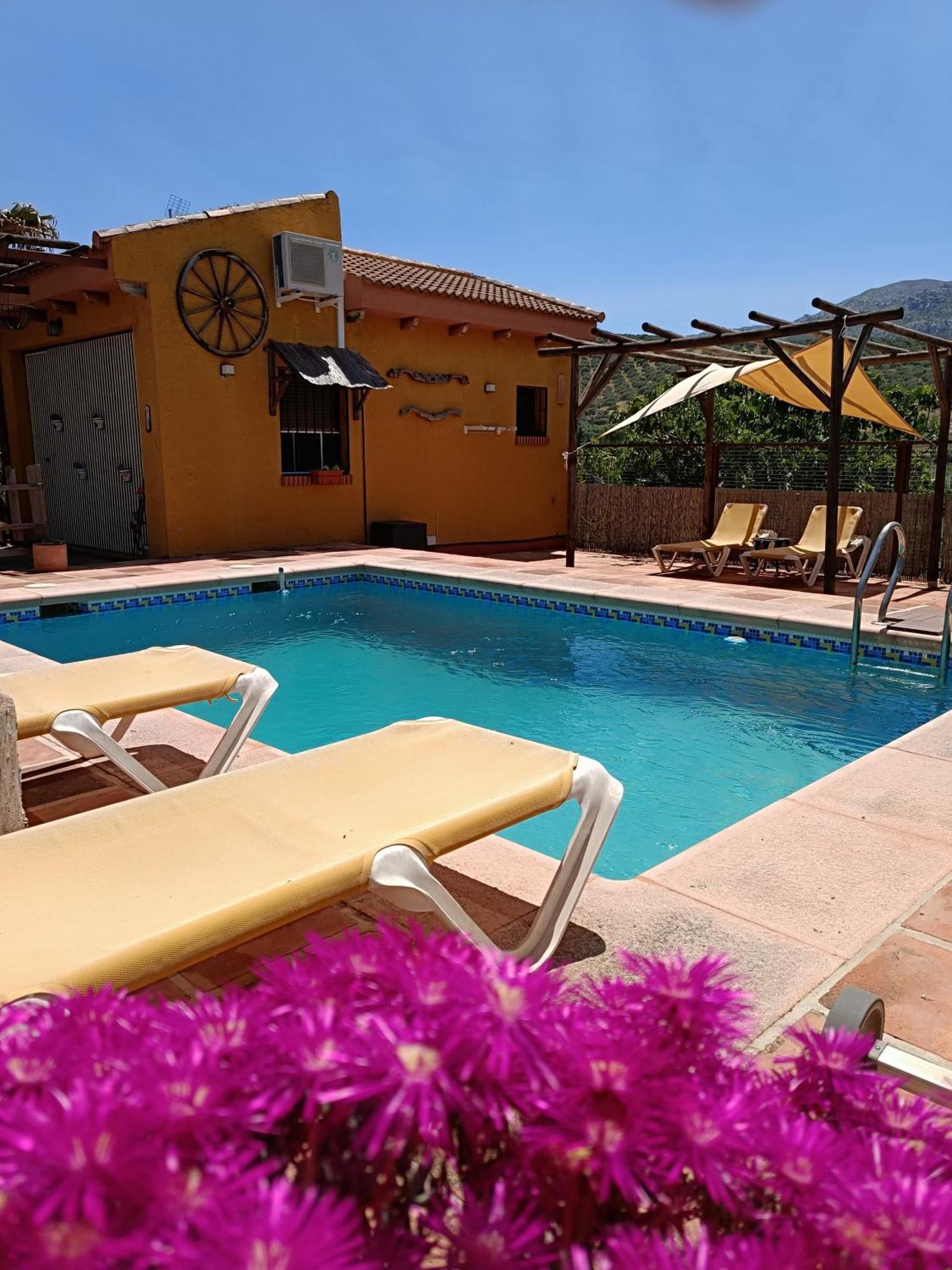 Cortijo Petra Bed & Breakfast Villanueva del Rosario Ngoại thất bức ảnh